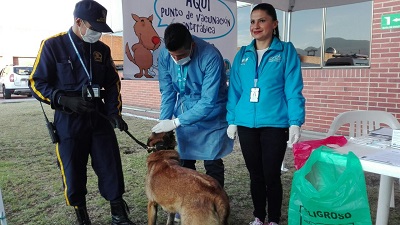 Vacunación gratuita de perros y gatos contra la rabia este domingo en Bogotá