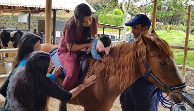 Terapia de rehabilitación con caballos mejora la calidad de vida de 130 personas con discapacidad