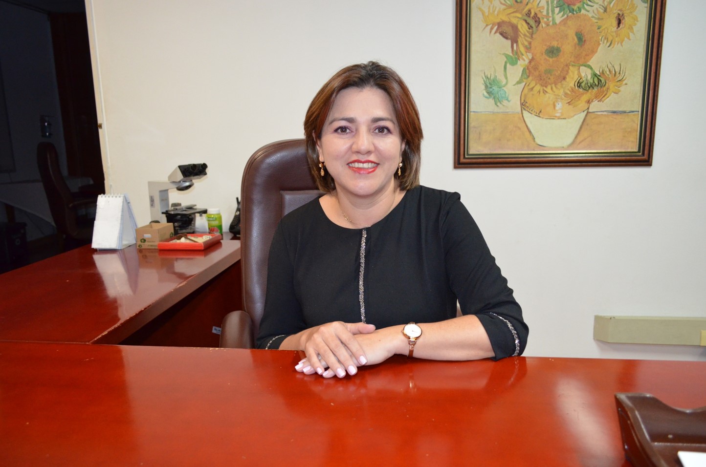 Subred Integrada de Servicios de Salud Norte E.S.E.