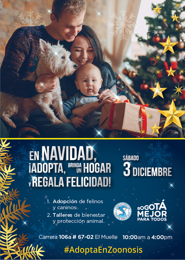 Sábado 3 de diciembre, última jornada de adopción del 2016 en Zoonosis