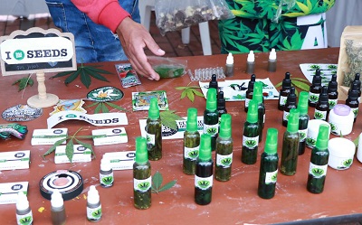 Secretaría de Salud acompañó jornada de la Mesa Cannábica de Bogotá