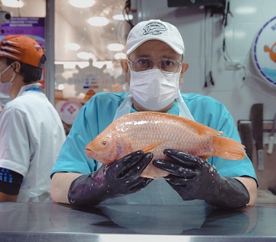 Recomendaciones para la compra y consumo de pescado en Semana Santa