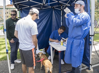 Más de 130 puntos en Bogotá para vacunar gratis a perros y gatos contra la rabia