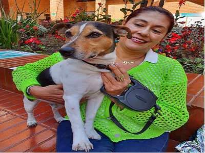 Jornada gratuita para vacunar más de 21.000 perros y gatos
