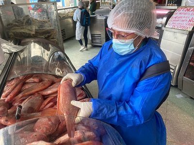 Secretaría de Salud emite recomendaciones en salud para Semana Santa