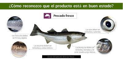 Secretaría de Salud inicia operativos de control a pescado durante la Semana Santa