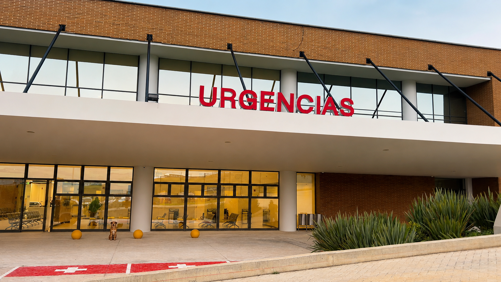 Pacientes con triaje IV y V serán direccionados a través de la Línea 137