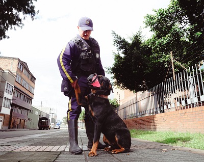 En compromiso con los animales, la Secretaría de Salud apuesta por una seguridad sin perros