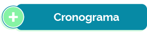 Cronograma