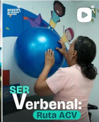 Video SER 24